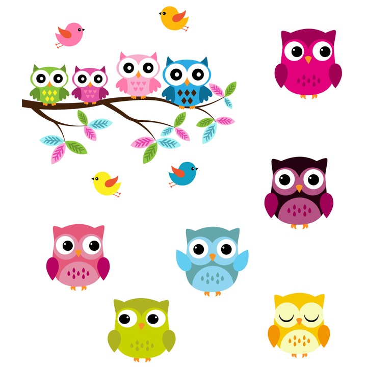 Set Abtibilduri 11 PENTRU PERETE bufnite colorate pasari 125cm x 250cm Decorative, Design modern, Autoadeziva, Dormitor