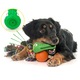 Jucarie de ros pentru caini, crocodil, verde, dog dental chew toy