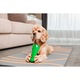 Jucarie de ros pentru caini, crocodil, verde, dog dental chew toy