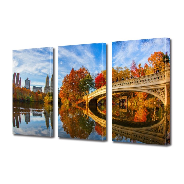 Tablou Multicanvas 3 Piese Parcul Central in New York, 25 x 45 cm