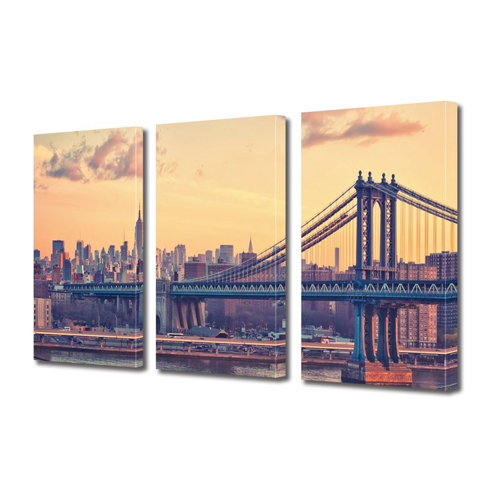 Tablou Multicanvas 3 Piese Pod in New York, 45 x 90 cm