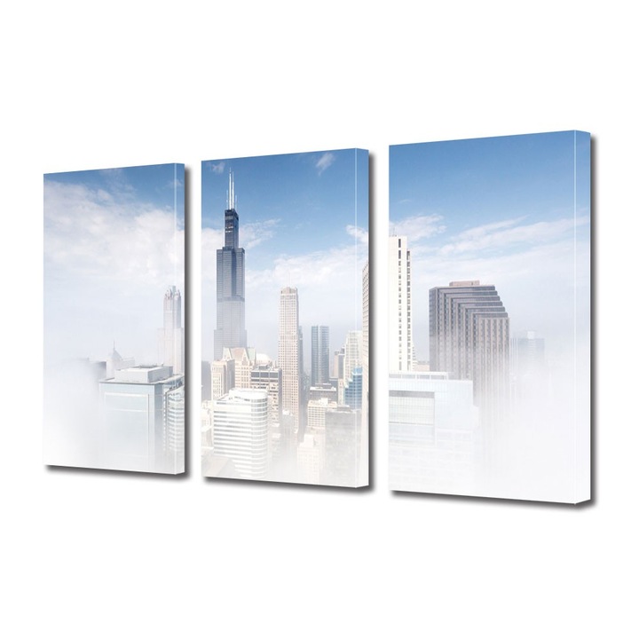 Tablou Multicanvas 3 Piese Ceata in Chicago, 25 x 45 cm