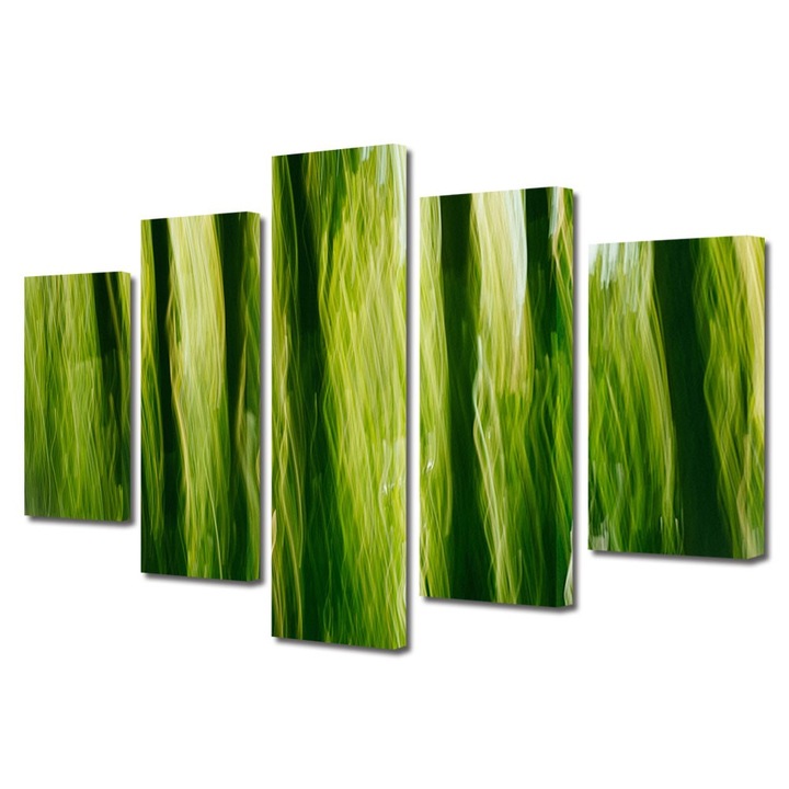 Set Tablouri Multicanvas 5 Piese Abstract Decorativ, In jungla, 70 x 125 cm