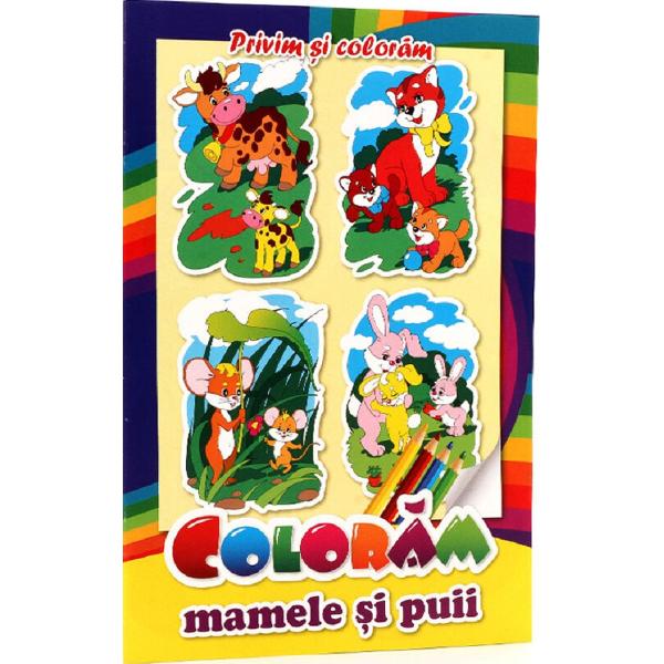Privim si coloram. Coloram mamele si puii