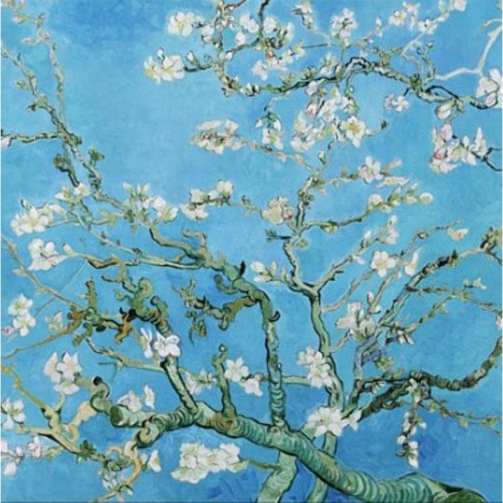 Vászonkép Printly, reprodukció Van Gogh, Almond Blossom, 100 cm x 100 cm