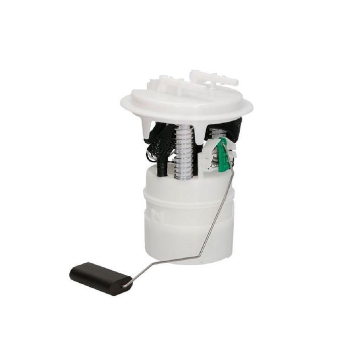 Sistem alimentare cu combustibil Citroen C3 Pluriel 2003-> HB 7.02701.33.0