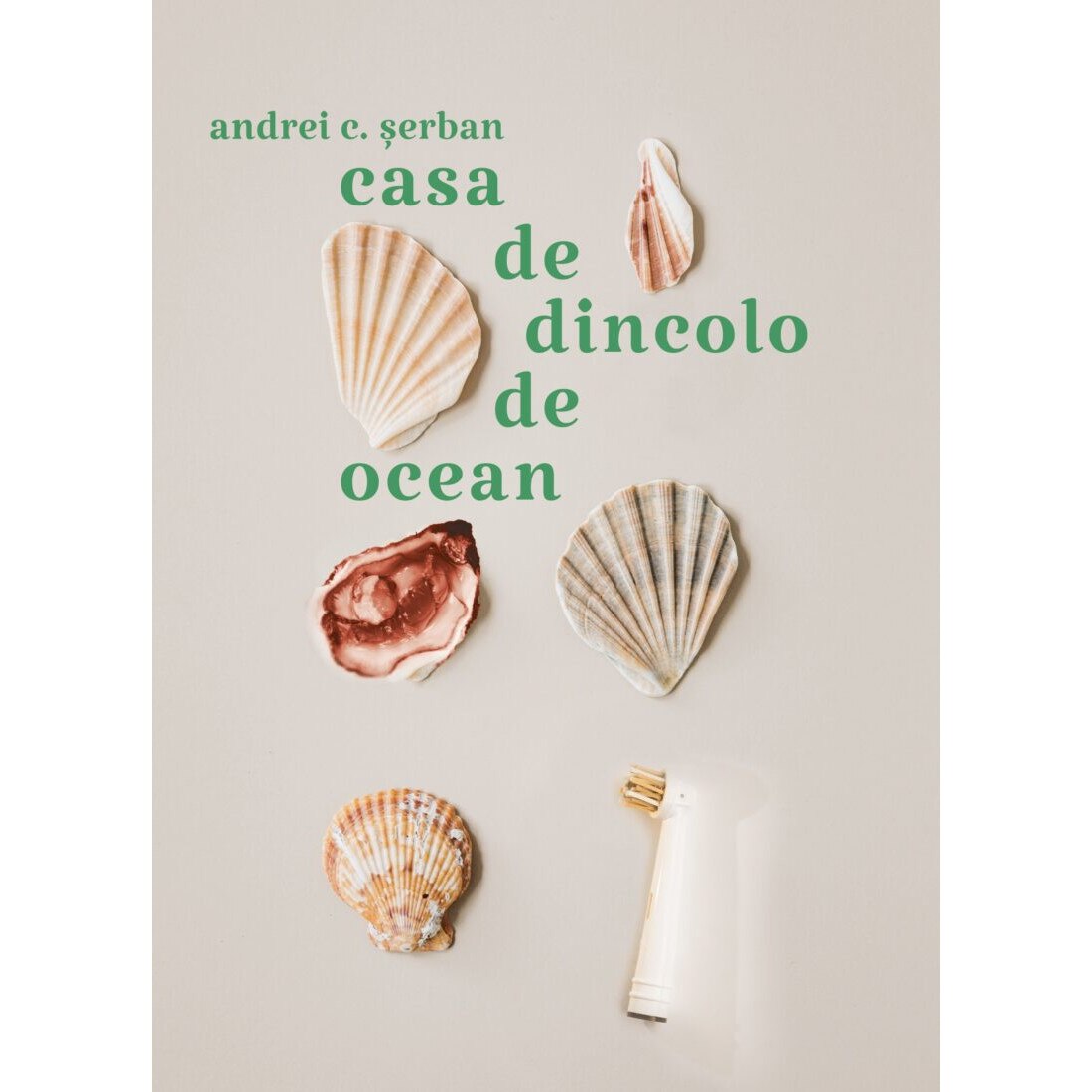 Casa de dincolo de ocean - Andrei C. Serban