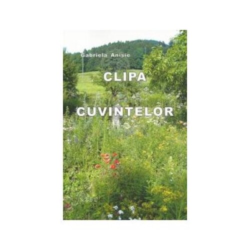 Clipa cuvintelor, Gabriela Anisie