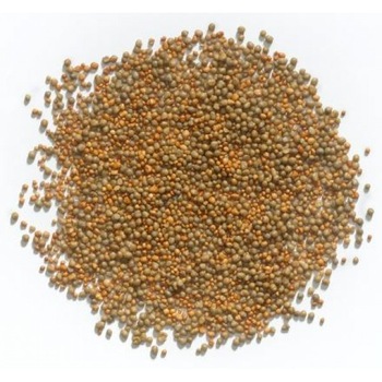 Ingrasamant plante Pro Everris Osmocote Exact 1 kg Ingrasamant plante Pro Everris Osmocote Exact 1 kg
