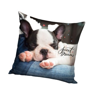 Fata de perna din microfibra, Sweet Dreams, 40x40 cm Fata de perna din microfibra, Sweet Dreams, 40x40 cm