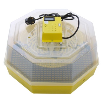 Incubator electric pentru oua, Cleo 5TH, termometru si termohigrometru, galben Incubator electric pentru oua, Cleo 5TH, termometru si termohigrometru, galben