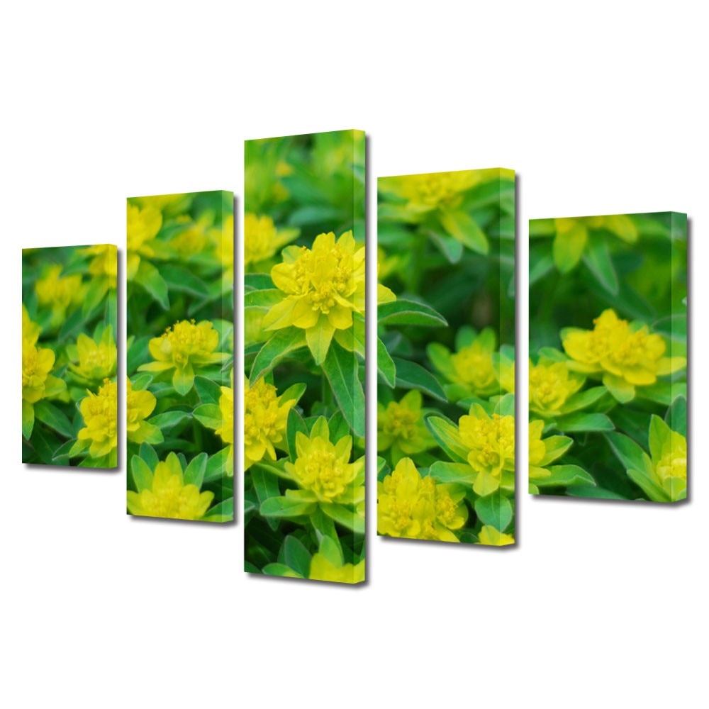 Tablou Multicanvas 5 Piese Peisaje Verde crud, 45 x 70 cm