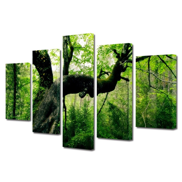 Set Tablouri Multicanvas 5 Piese Peisaje Jungla, 70 x 125 cm