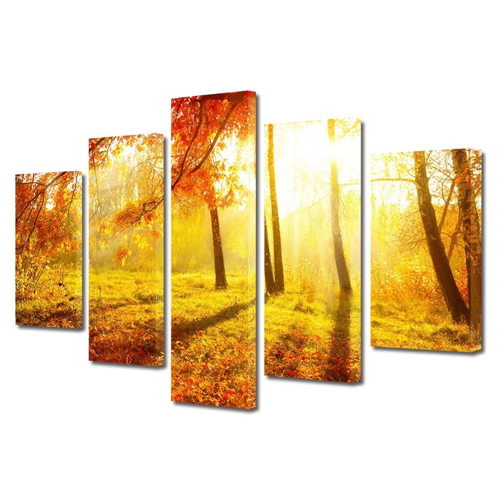 Tablou Multicanvas 5 Piese Peisaje Portocaliu aprins, 120 x 225 cm
