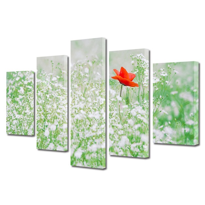 Set Tablouri Multicanvas 5 Piese Peisaje Floare rosie, 70 x 125 cm