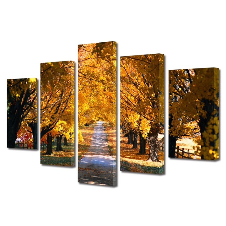 Set Tablouri Multicanvas 5 Piese Peisaje Sosea in valuri, 70 x 125 cm