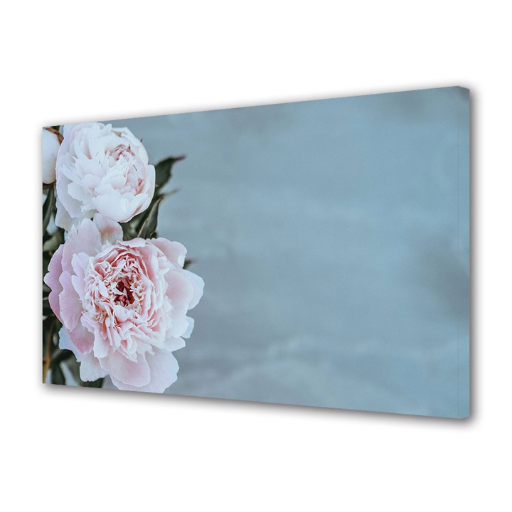 Tablou Canvas Premium, Art Star, Bujori roz pal, Flori, Panza pe cadru de lemn, Decoratiuni Moderne pentru Casa, 50 x 70 cm