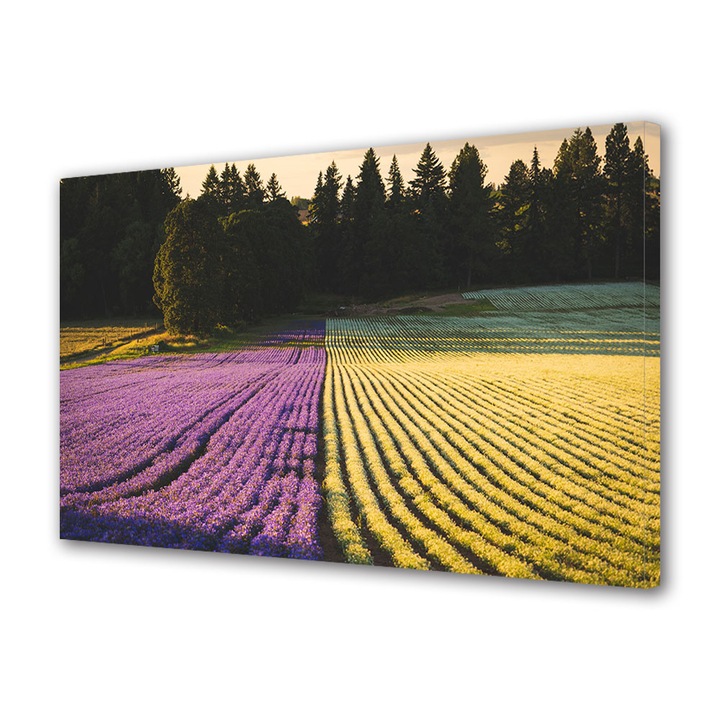Tablou Canvas Premium, Art Star, Camp cu flori in violet si galben, Flori, Panza pe cadru de lemn, Decoratiuni Moderne pentru Casa, 80 x 140 cm