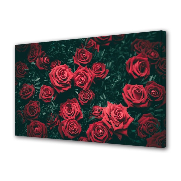Tablou Canvas Premium, Art Star, Trandafiri in habitatul lor, Flori, Panza pe cadru de lemn, Decoratiuni Moderne pentru Casa, 80 x 160 cm