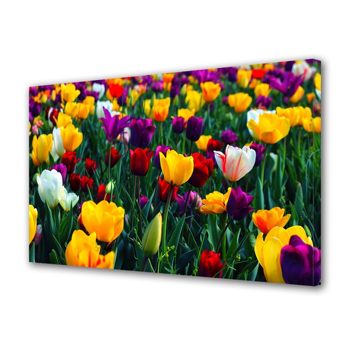 Tablou Canvas Premium, Art Star, Grupare de lalele multicolore, Flori, Panza pe cadru de lemn, Decoratiuni Moderne pentru Casa, 30 x 45 cm