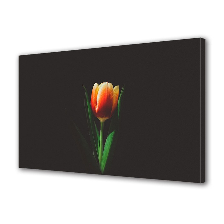 Tablou Canvas Led cu Intrerupator, Luminos in Intuneric, Premium, Art Star, Lalea iluminata pe fundal negru, Flori, Panza pe cadru de lemn, Decoratiuni Moderne pentru Casa, 40 x 60 cm