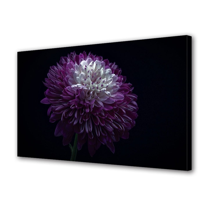 Tablou Canvas Fosforescent, Luminos in Intuneric, Premium, Art Star, Gherghina in intuneric, Flori, Panza pe cadru de lemn, Decoratiuni Moderne pentru Casa, 30 x 45 cm