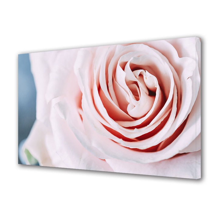 Tablou Canvas Premium, Art Star, Trandafir roz pal, Flori, Panza pe cadru de lemn, Decoratiuni Moderne pentru Casa, 20 x 30 cm