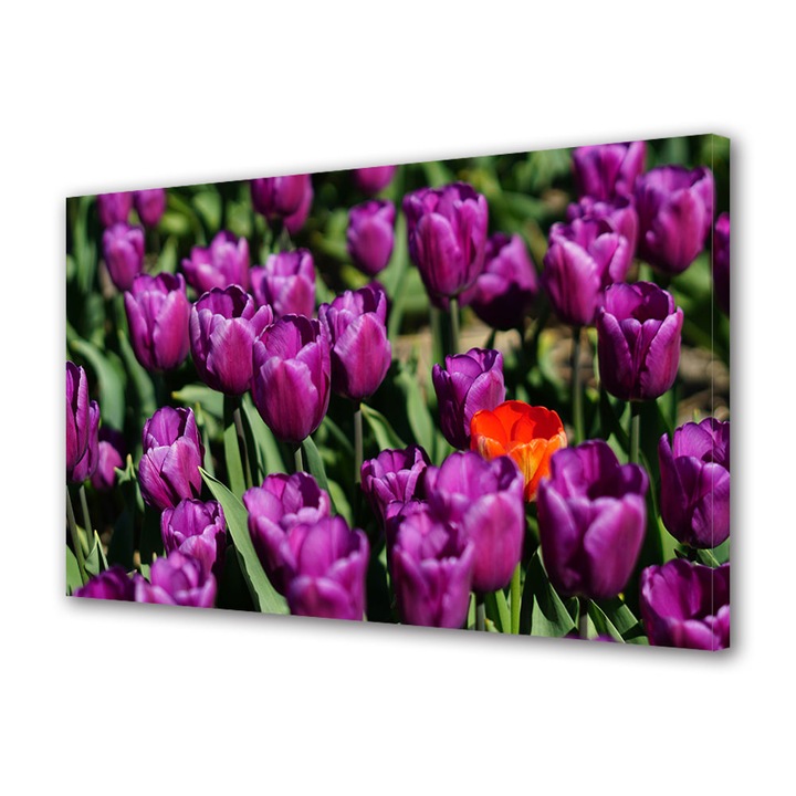 Tablou Canvas Led cu Intrerupator, Luminos in Intuneric, Premium, Art Star, Pata de oranj in marea de violet, Flori, Panza pe cadru de lemn, Decoratiuni Moderne pentru Casa, 30 x 45 cm