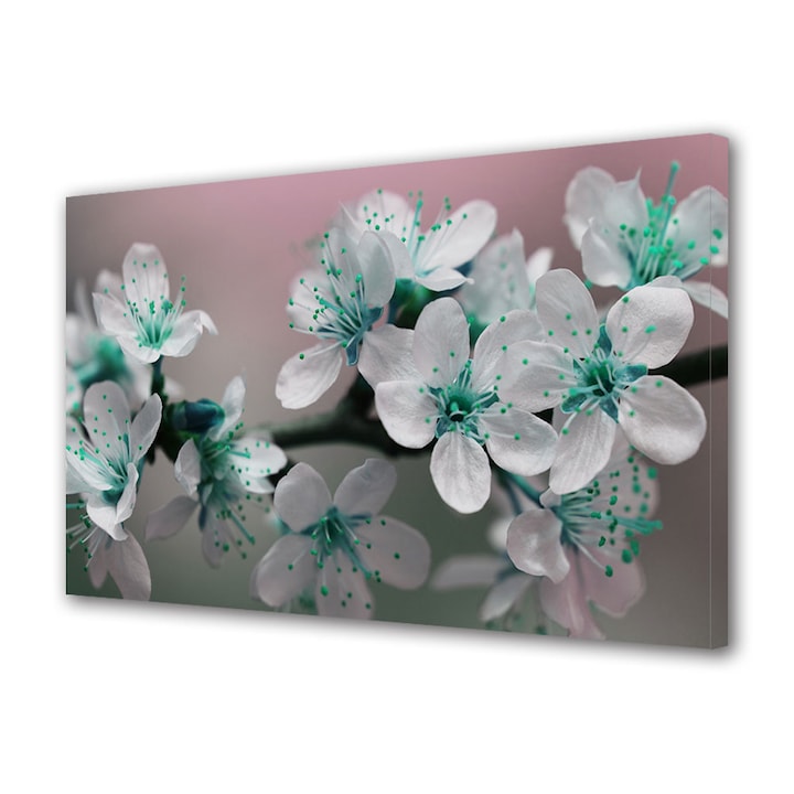 Tablou Canvas Premium, Art Star, Flori de cires cu turcoaz, Flori, Panza pe cadru de lemn, Decoratiuni Moderne pentru Casa, 60 x 90 cm