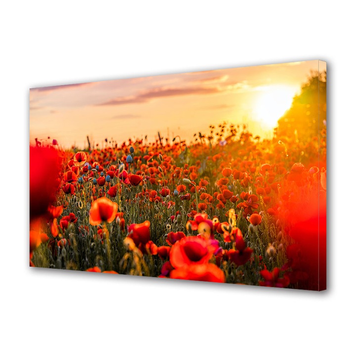 Tablou Canvas Premium, Art Star, Maci adunati, Flori, Panza pe cadru de lemn, Decoratiuni Moderne pentru Casa, 20 x 30 cm