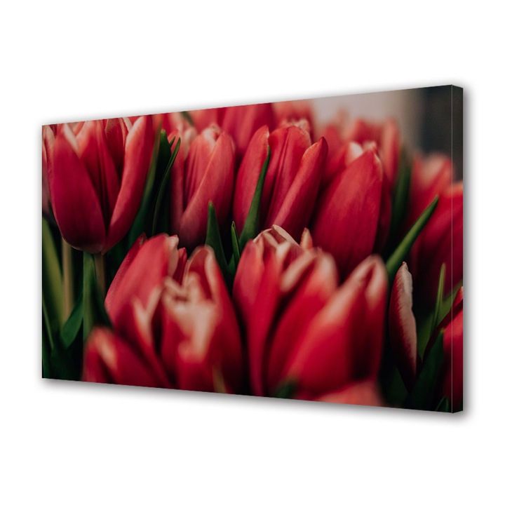 Tablou Canvas Premium, Art Star, Lalele rosii closeup, Flori, Panza pe cadru de lemn, Decoratiuni Moderne pentru Casa, 40 x 60 cm