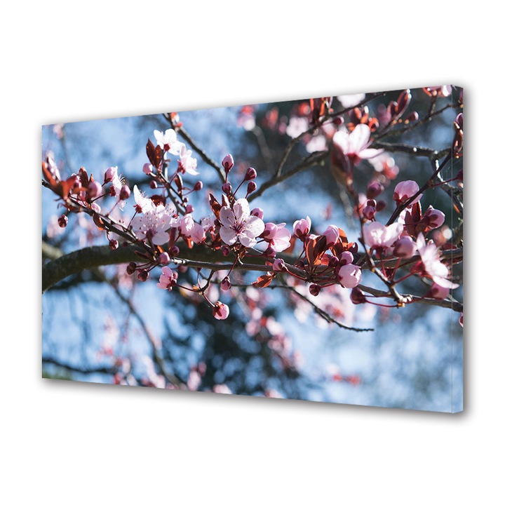 Tablou Canvas Premium, Art Star, Flori de cires in nuante de roz, Flori, Panza pe cadru de lemn, Decoratiuni Moderne pentru Casa, 80 x 160 cm