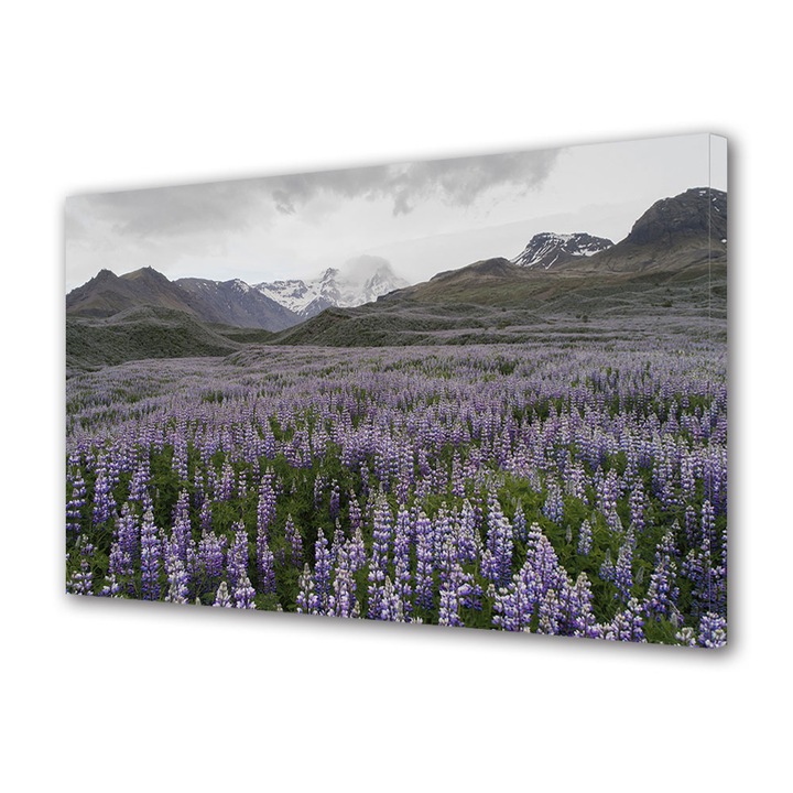 Tablou Canvas Premium, Art Star, Aglomerare de lupini la munte, Flori, Panza pe cadru de lemn, Decoratiuni Moderne pentru Casa, 40 x 60 cm