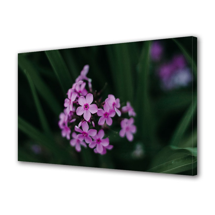 Tablou Canvas Led cu Intrerupator, Luminos in Intuneric, Premium, Art Star, Brumarele roz, Flori, Panza pe cadru de lemn, Decoratiuni Moderne pentru Casa, 30 x 45 cm