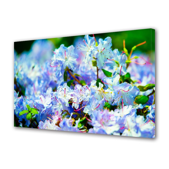 Tablou Canvas Fosforescent, Luminos in Intuneric, Premium, Art Star, Mare de flori albastre, Flori, Panza pe cadru de lemn, Decoratiuni Moderne pentru Casa, 20 x 30 cm