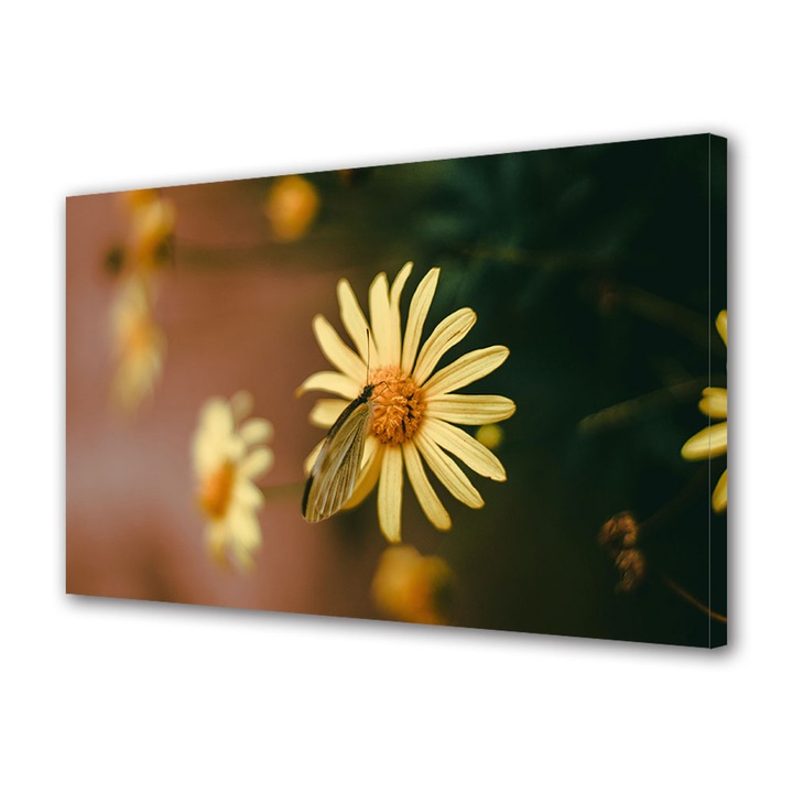 Tablou Canvas Fosforescent, Luminos in Intuneric, Premium, Art Star, Fluture pe floarea galbena, Flori, Panza pe cadru de lemn, Decoratiuni Moderne pentru Casa, 60 x 90 cm