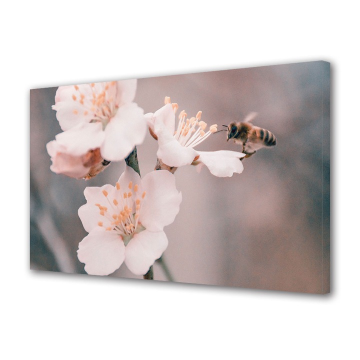 Tablou Canvas Led cu Intrerupator, Luminos in Intuneric, Premium, Art Star, Albina la cules de polen, Flori, Panza pe cadru de lemn, Decoratiuni Moderne pentru Casa, 60 x 90 cm