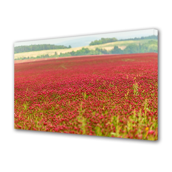 Tablou Canvas Premium, Art Star, Camp rosu, Flori, Panza pe cadru de lemn, Decoratiuni Moderne pentru Casa, 20 x 30 cm