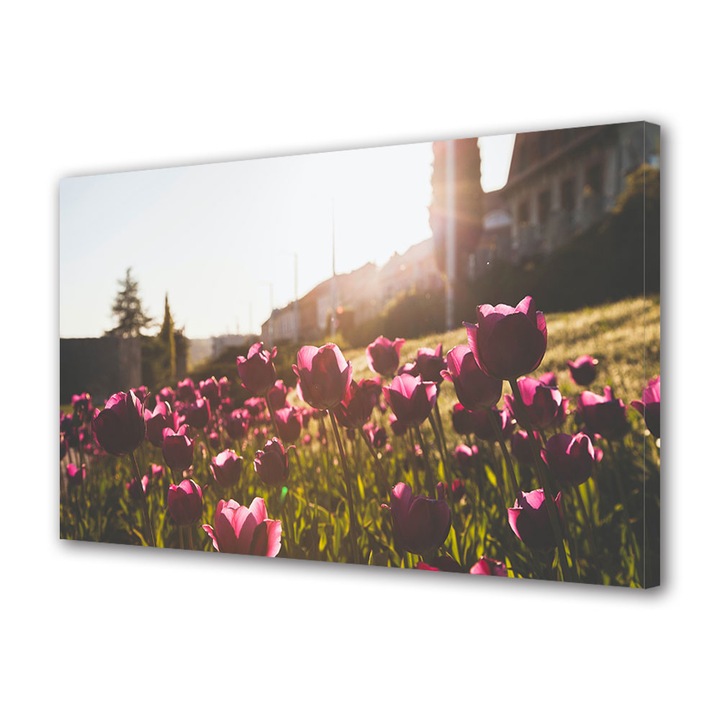 Tablou Canvas Fosforescent, Luminos in Intuneric, Premium, Art Star, Lalele violet in razele soarelui, Flori, Panza pe cadru de lemn, Decoratiuni Moderne pentru Casa, 20 x 30 cm