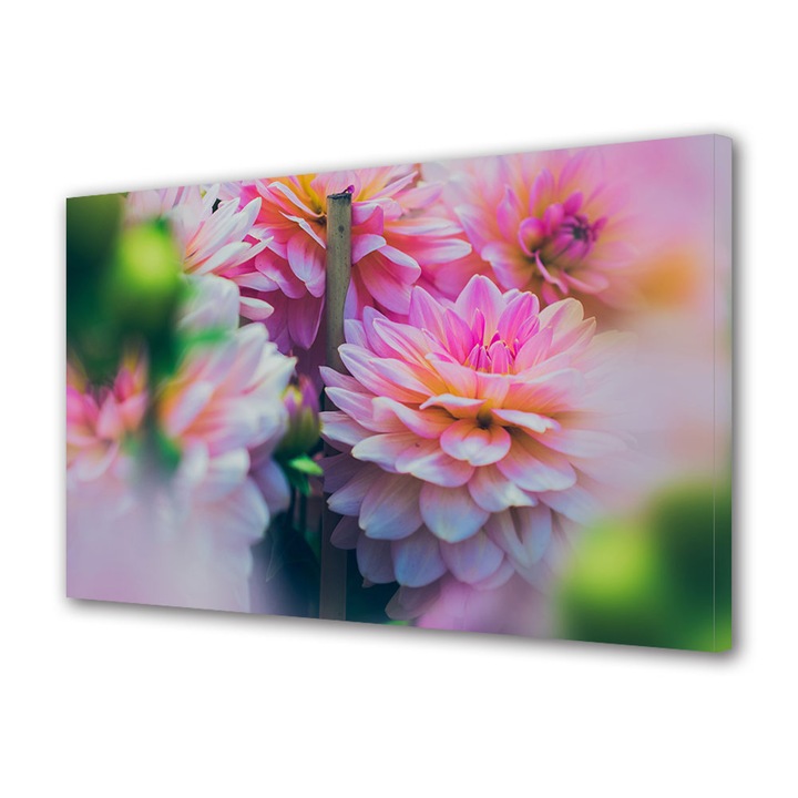 Tablou Canvas Premium, Art Star, Flori roz bogate, Flori, Panza pe cadru de lemn, Decoratiuni Moderne pentru Casa, 40 x 60 cm