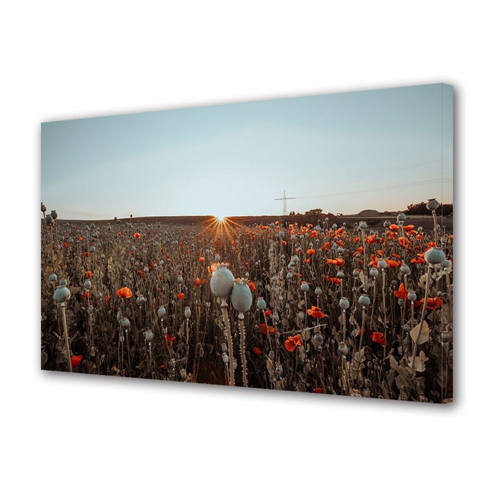 Tablou Canvas Premium, Art Star, Maci la rasarit, Flori, Panza pe cadru de lemn, Decoratiuni Moderne pentru Casa, 20 x 30 cm