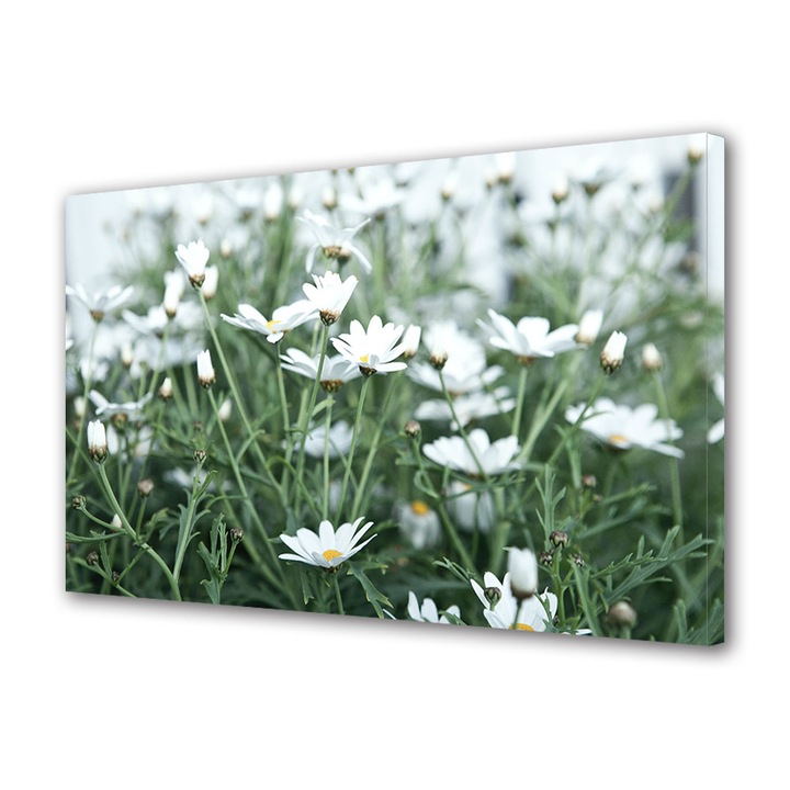 Tablou Canvas Premium, Art Star, Margarete albe, Flori, Panza pe cadru de lemn, Decoratiuni Moderne pentru Casa, 30 x 45 cm