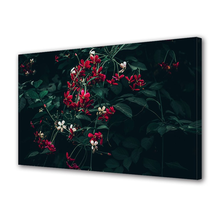 Tablou Canvas Premium, Art Star, Flori albe si rosii multiple, Flori, Panza pe cadru de lemn, Decoratiuni Moderne pentru Casa, 30 x 45 cm