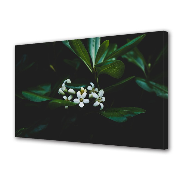 Tablou Canvas Led cu Intrerupator, Luminos in Intuneric, Premium, Art Star, Flori albe la umbra padurii, Flori, Panza pe cadru de lemn, Decoratiuni Moderne pentru Casa, 50 x 70 cm
