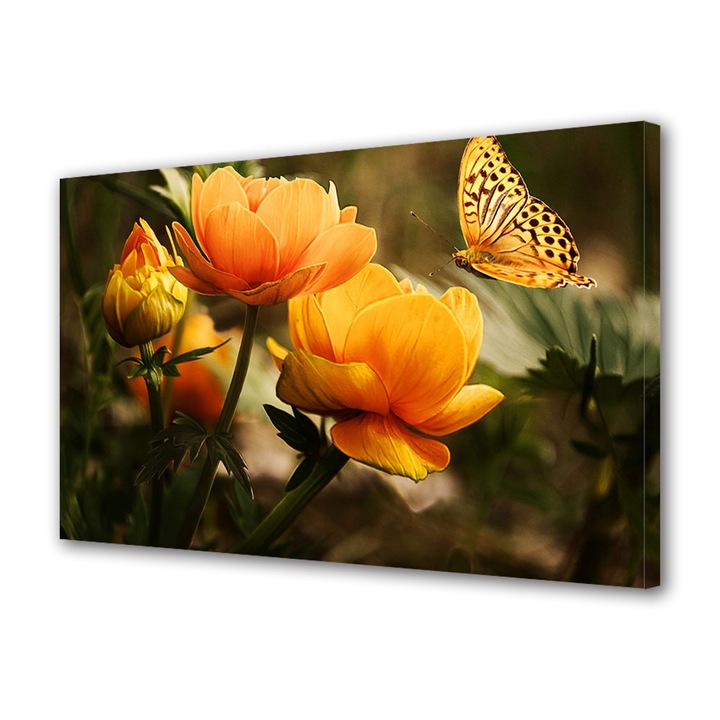 Tablou Canvas Premium, Art Star, Fluture si flori asortate, Flori, Panza pe cadru de lemn, Decoratiuni Moderne pentru Casa, 70 x 100 cm