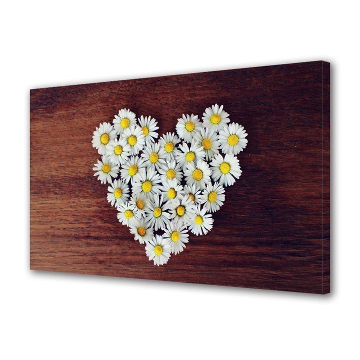 Tablou Canvas Premium, Art Star, Inima din margarete, Flori, Panza pe cadru de lemn, Decoratiuni Moderne pentru Casa, 30 x 45 cm
