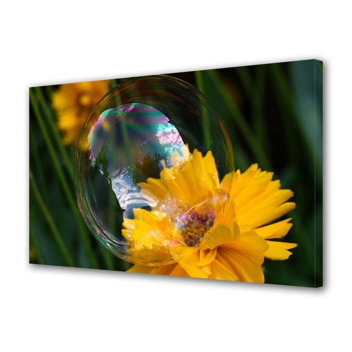 Tablou Canvas Led cu Intrerupator, Luminos in Intuneric, Premium, Art Star, Bula de sapun, Flori, Panza pe cadru de lemn, Decoratiuni Moderne pentru Casa, 30 x 45 cm