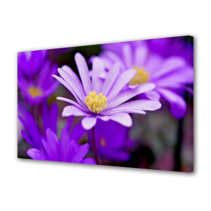 Tablou Canvas Premium, Art Star, Flori violet adunate, Flori, Panza pe cadru de lemn, Decoratiuni Moderne pentru Casa, 40 x 60 cm