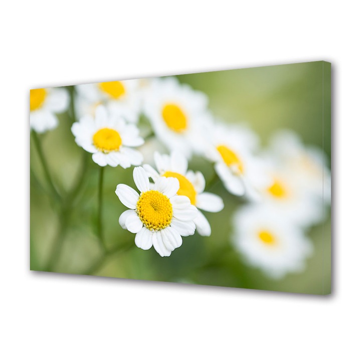 Tablou Canvas Led cu Intrerupator, Luminos in Intuneric, Premium, Art Star, Flori albe pe fundal verde, Flori, Panza pe cadru de lemn, Decoratiuni Moderne pentru Casa, 70 x 100 cm