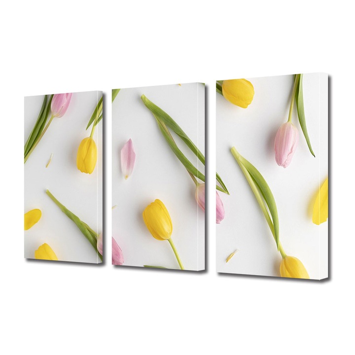 Set Tablouri Multicanvas 3 piese, Art Star, Lalele pe fundal alb, Flori, Panza pe cadru de lemn, Decoratiuni Moderne pentru Casa, 70 x 150 cm(3 piese de 50 x 70 cm)